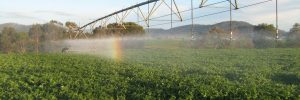 Smart farms – easier, cheaper, faster